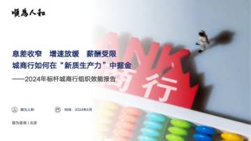 顺为人和：2024标杆城商行组织效能报告.pdf