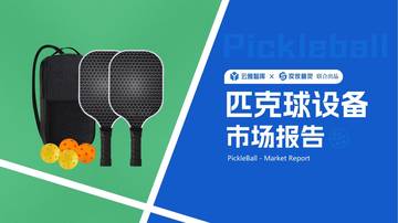 云雅智库&卖家精灵：2024匹克球设备市场分析报告.pdf