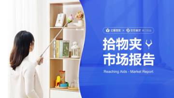 云雅智库&卖家精灵：2024拾物夹市场报告.pdf