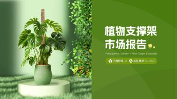 云雅智库&卖家精灵：2024植物支撑架市场分析报告.pdf