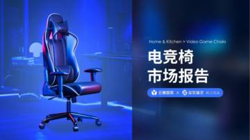 云雅智库&卖家精灵：2024电竞椅市场分析报告.pdf
