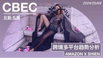 女装&礼服：2024-2025跨境电商多平台趋势分析.pdf