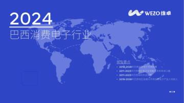 维卓：2024巴西消费电子行业报告.pdf