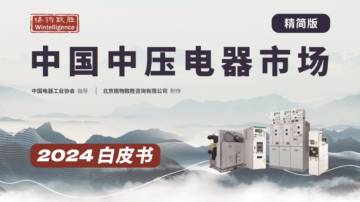 格物致胜：2024年中国中压电器白皮书（精简版）.pdf