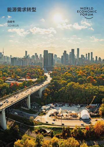 世界经济论坛：2024年能源需求转型白皮书.pdf