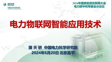 国家电网：2024电力物联网智能应用技术研究报告.pdf