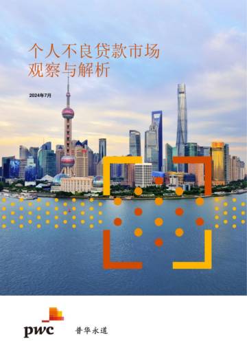 普华永道：2024个人不良贷款市场观察与解析报告.pdf