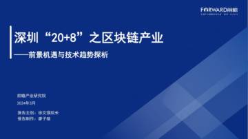 前瞻研究院：2024深圳20+8之区块链产业-前景机遇与技术趋势探析报告.pdf
