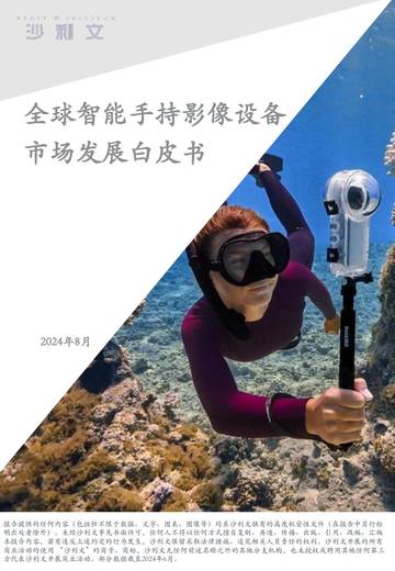 沙利文：2024年全球智能手持影像设备市场发展白皮书.pdf