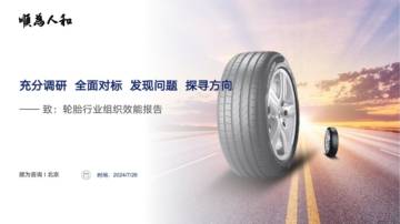 顺为咨询：2024轮胎行业组织效能报告.pdf