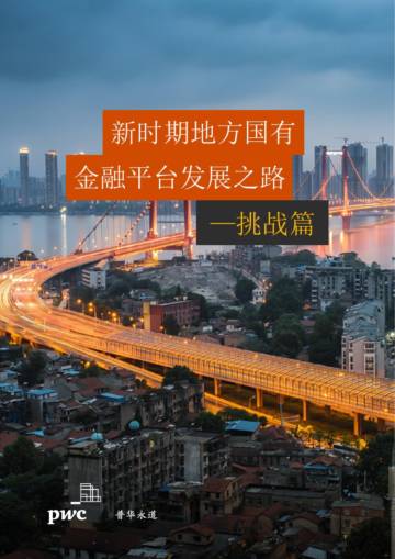 普华永道：2024新时期地方国有金融平台发展之路-挑战篇.pdf