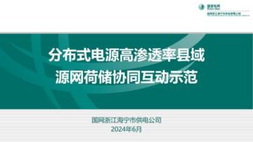 国家电网：2024分布式电源高渗透率县域源网荷储协同互动示范报告.pdf
