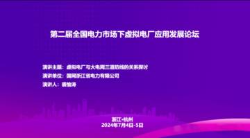 国网浙江电力：2024虚拟电厂与大电网三道防线的关系探讨报告.pdf