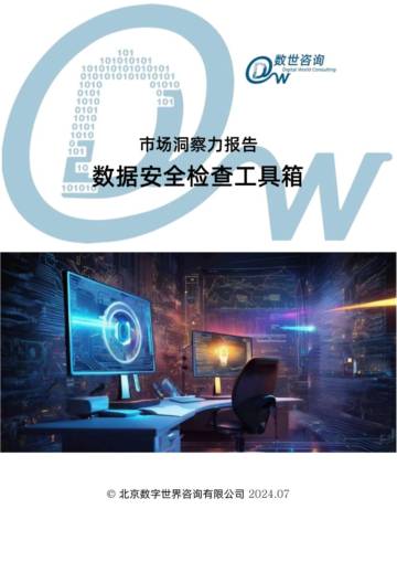 数世咨询：2024市场洞察力报告—数据安全检查工具箱.pdf