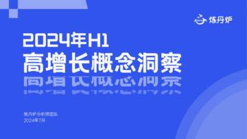 炼丹炉：2024年H1高增长概念洞察报告.pdf
