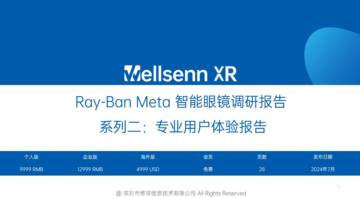 维深：Ray-Ban Meta智能眼镜调研报告系列二-专业用户体验报告.pdf