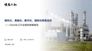 顺为人和：2024化工行业组织效能报告 - 绿色化、高端化、数字化、国际化转型迫切.pdf