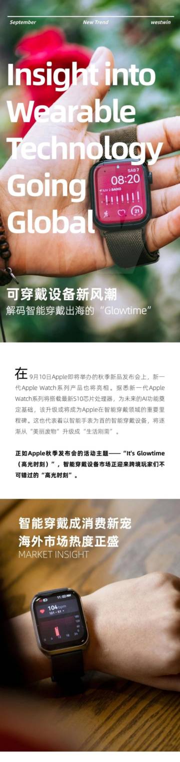 Westwin：2024年智能穿戴设备海外市场报告.pdf