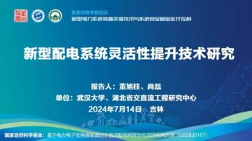 武汉大学：2024新型配电系统灵活性提升技术研究报告.pdf
