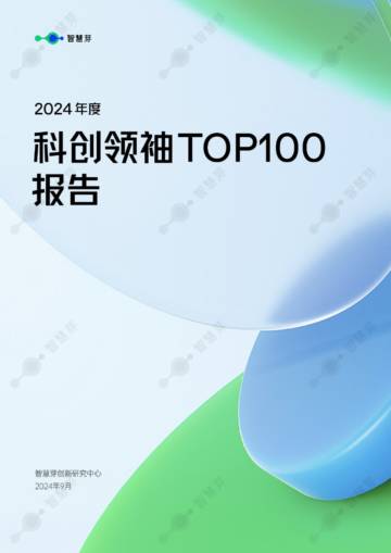 智慧芽：2024年度科创领袖TOP100报告.pdf