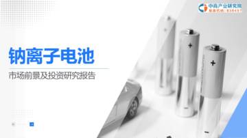 中商产业研究院：2024年钠离子电池行业市场前景及投资研究报告.pdf