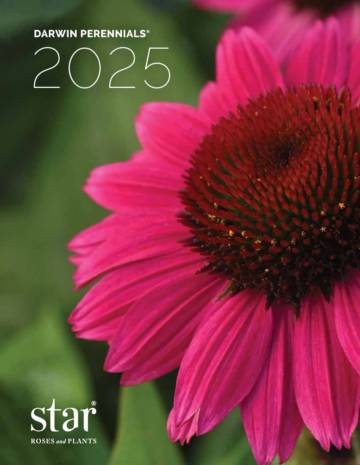 Star：DARWIN PERENNIALS® 2025年植物生长指南.pdf