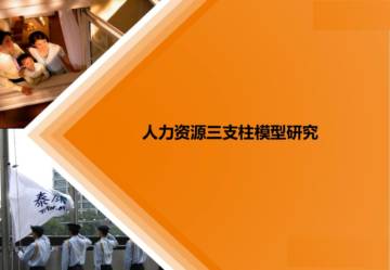 互联网：人力资源三支柱模型研究.pdf