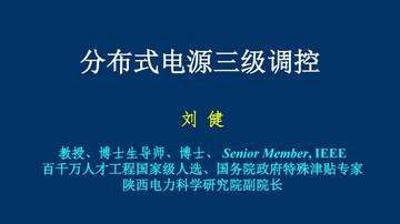 刘健：2024分布式电源三级调控报告.pdf