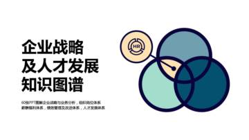 互联网：企业战略及人才发展知识图谱.pdf