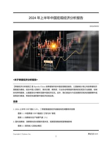 思必达：2024年上半年中国宏观经济分析报告.pdf