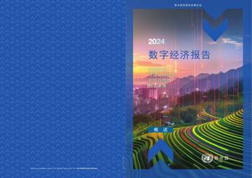 联合国：2024数字经济报告.pdf