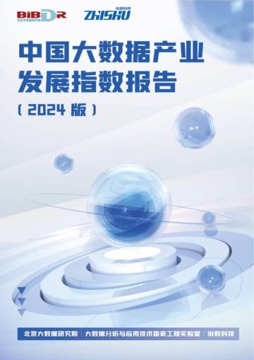 北京大数据研究院：中国大数据产业发展指数报告（2024版）.pdf
