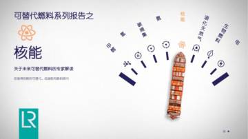 劳氏：2024可替代燃料系列报告之核能.pdf