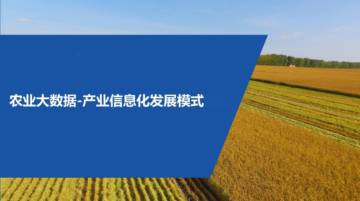 农业大数据：产业信息化发展模式.pdf