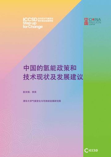 清华大学：中国的氢能政策和技术现状及发展建议.pdf
