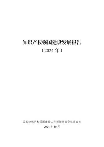 知识产权强国建设发展报告2024.pdf