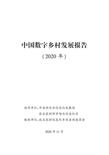 农业农村信息化专家咨询委员会：中国数字乡村发展报告.pdf