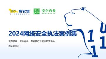 安全内参、奇安信：2024年网络安全执法案例集.pdf