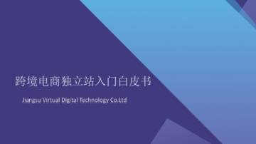 易诺：2024年跨境电商独立站入门白皮书.pdf