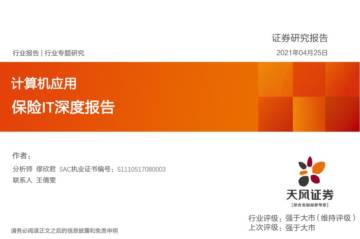 计算机应用保险IT深度报告.pdf