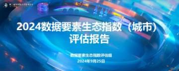 国脉研究院：2024年数据要素生态指数（城市）评估报告.pdf