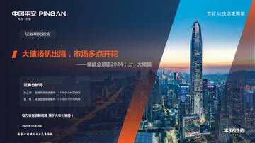 中国平安：储能全景图2024（上）大储篇-大储扬帆出海，市场多点开花.pdf