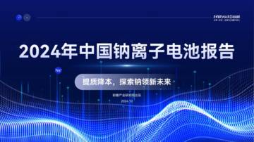 2024年中国钠离子电池报告.pdf
