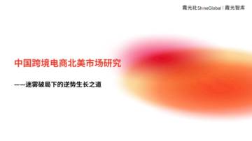 霞光智库：2024中国跨境电商北美市场研究报告：迷雾破局下的逆势生长之道.pdf