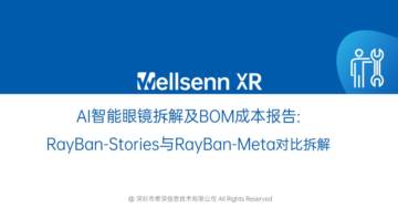 维深信息：2024年AI智能眼镜拆解及BOM成本报告：Ray-Ban+Stories与Ray-Ban+Meta对比拆解.pdf