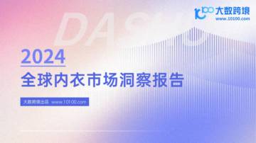 大数跨境：2024年全球内衣市场洞察报告.pdf