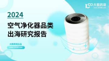 大数跨境：2024空气净化器品类出海研究报告.pdf
