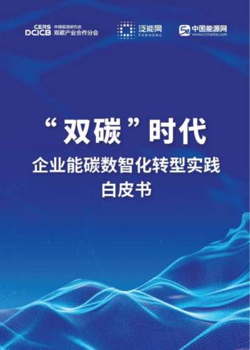 泛能网：2024年“双碳”时代企业能碳数智化转型实践白皮书.pdf