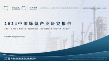 云道资本：2024中国绿氨产业研究报告.pdf