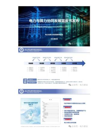 电力与算力协同发展专委会：电力与算力协同发展蓝皮书.pdf